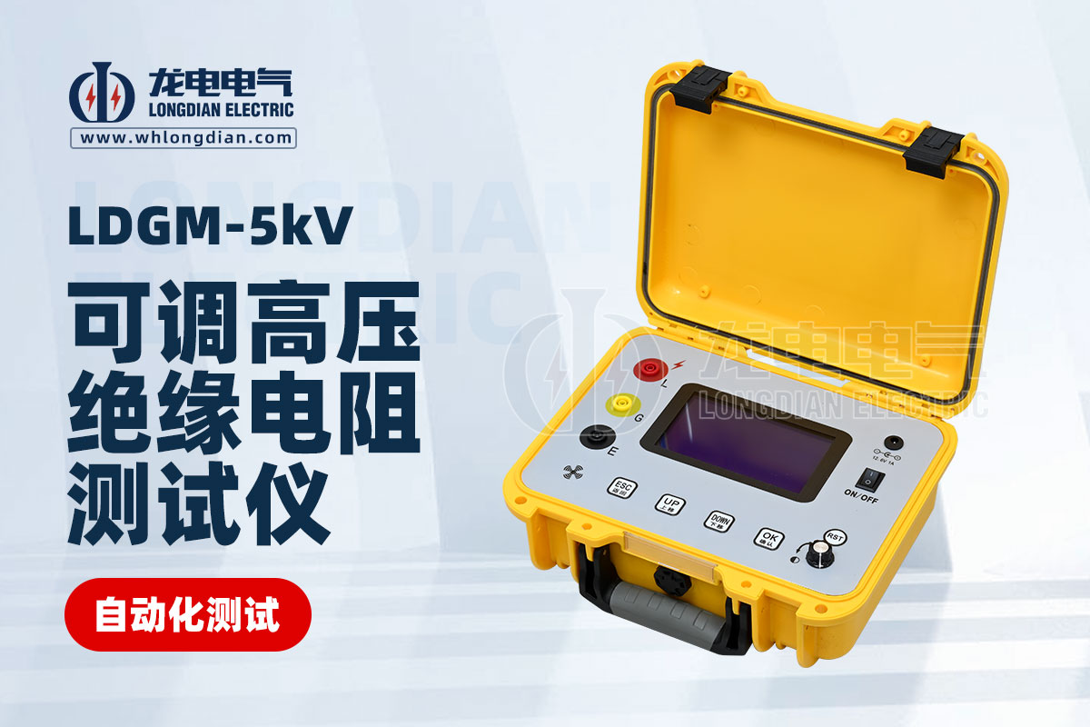 LDGM-5KV可調高壓絕緣電阻測試儀
