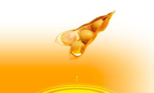 豆油期貨波動一個點(diǎn)多少錢？豆油期