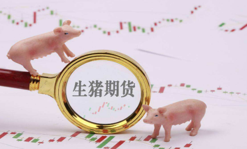 生豬期貨的成本介紹：期貨手續費計
